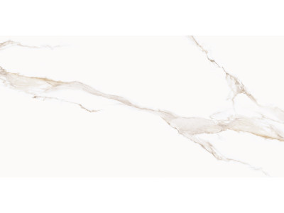 Calacatta Milazzo Gold 120x60
