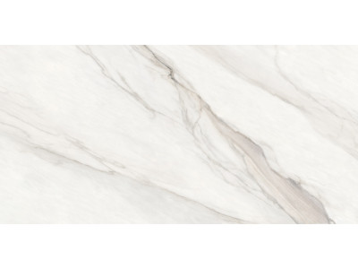 Calacatta Monsoon 120x60
