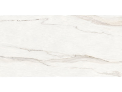 Calacatta Monsoon 120x60
