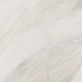 Carolina Crema 60x60
