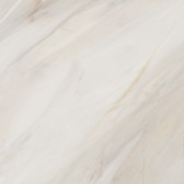 Carolina Crema 60x60
