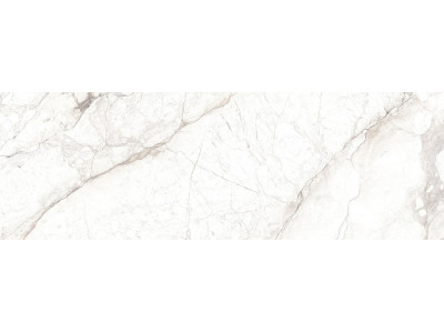 Delight Crema 74x24,6
