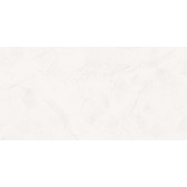 Intro 120x60
