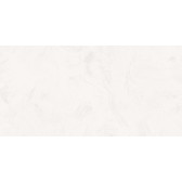 Intro 120x60
