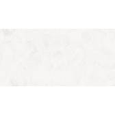 Intro 120x60
