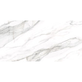 Omega Silver 120x60
