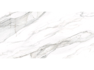 Omega Silver 120x60
