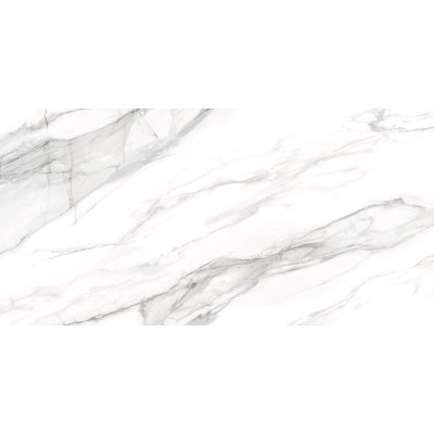 Omega Silver 120x60
