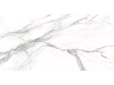 Omega Silver 120x60
