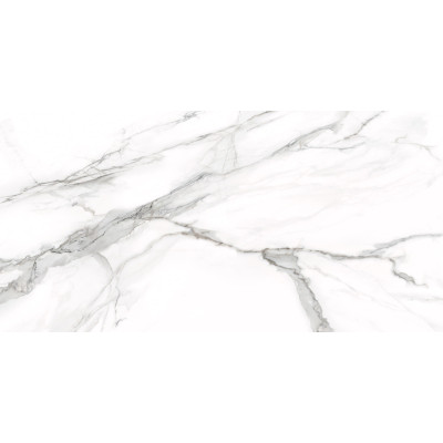 Omega Silver 120x60
