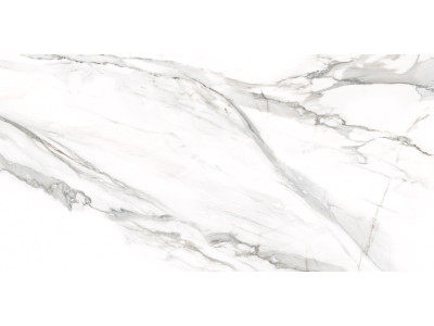 Omega Silver 120x60
