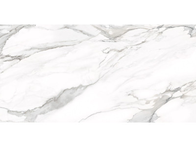 Omega Silver 120x60
