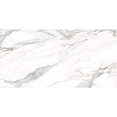 Omega Silver 120x60
