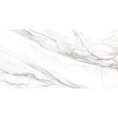 Omega Silver 120x60
