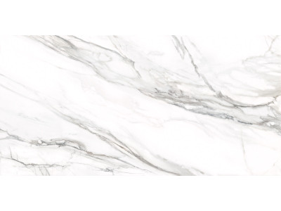 Omega Silver 120x60

