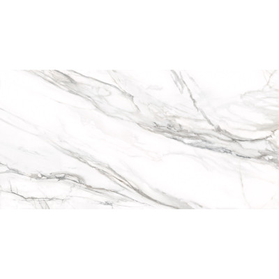 Omega Silver 120x60
