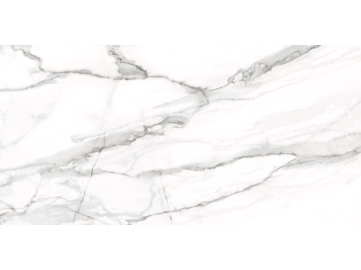 Omega Silver 120x60
