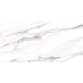 Omega Silver 120x60
