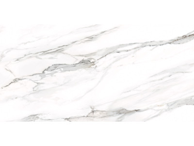 Omega Silver 120x60
