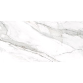 Omega Silver 120x60
