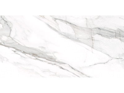 Omega Silver 120x60
