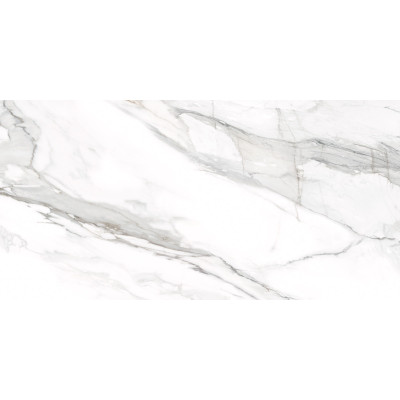 Omega Silver 120x60
