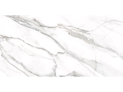 Omega Silver 120x60
