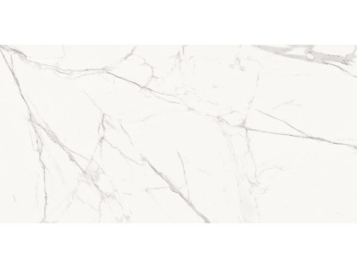 Porfido Carrara 120x60