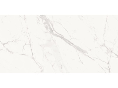 Porfido Carrara 120x60