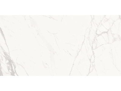 Porfido Carrara 120x60