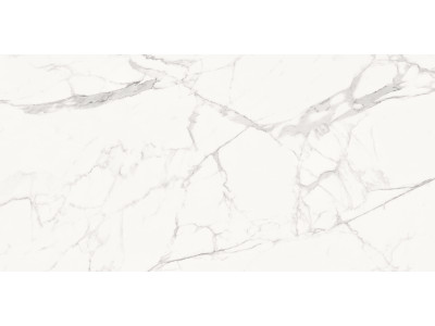 Porfido Carrara 120x60