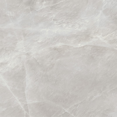 Salt Gray 60x60