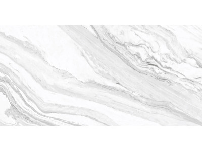 Statuary Venato 120x60
