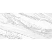 Statuary Venato 120x60
