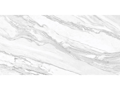 Statuary Venato 120x60
