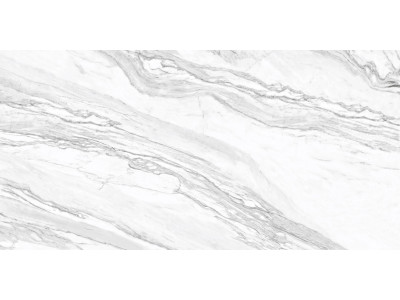 Statuary Venato 120x60
