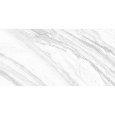 Statuary Venato 120x60
