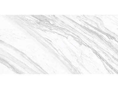 Statuary Venato 120x60
