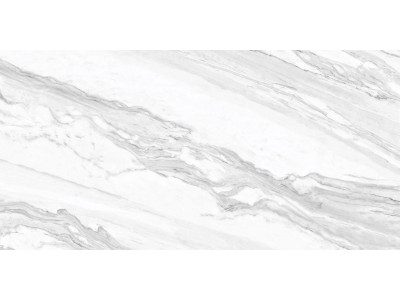 Statuary Venato 120x60
