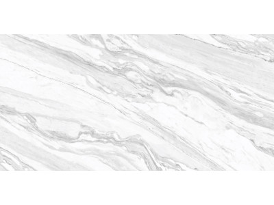 Statuary Venato 120x60
