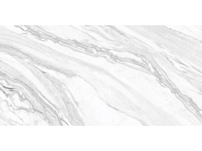 Statuary Venato 120x60
