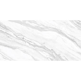 Statuary Venato 120x60
