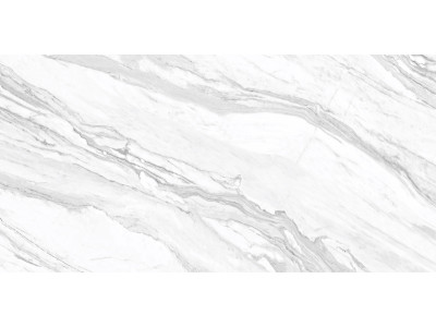 Statuary Venato 120x60
