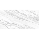 Statuary Venato 120x60
