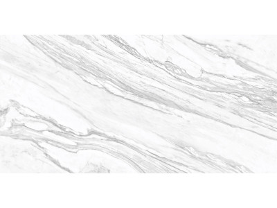 Statuary Venato 120x60
