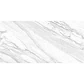 Statuary Venato 120x60
