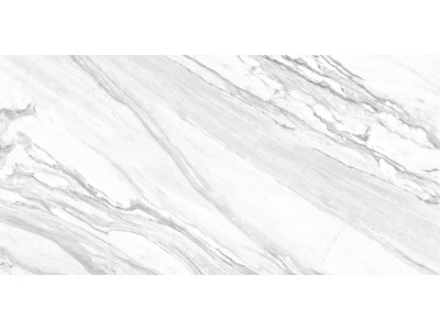 Statuary Venato 120x60
