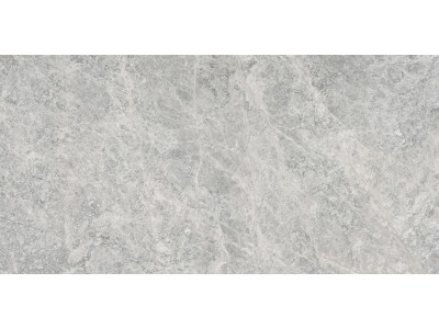 Tundra Taupe 60x30
