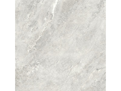 Ajax Gray 80x80