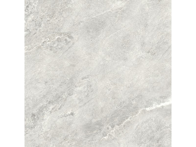 Ajax Gray 80x80